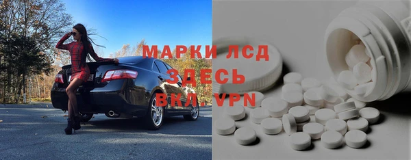 сатива Россошь