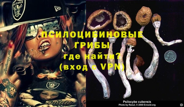 Альфа ПВП Богородск