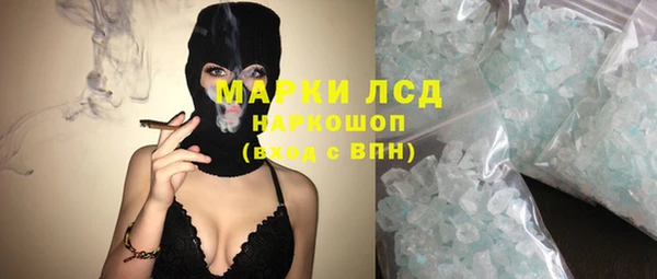 дмт Богданович