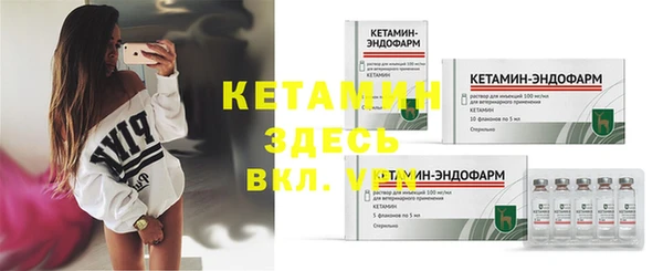 сатива Россошь