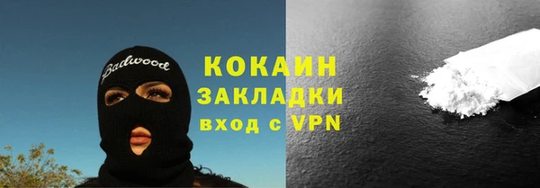 дмт Богданович