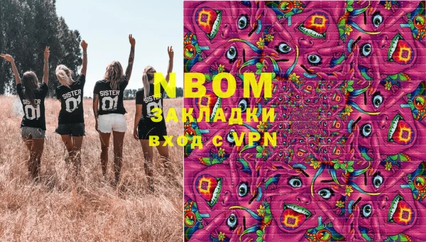 сатива Россошь