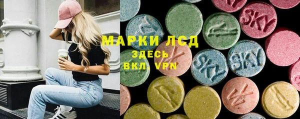 сатива Россошь