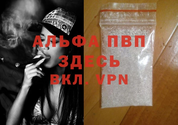 дмт Богданович