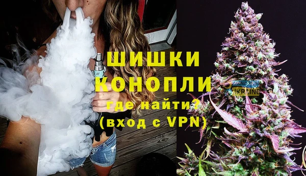 сатива Россошь