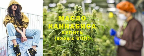 дмт Богданович