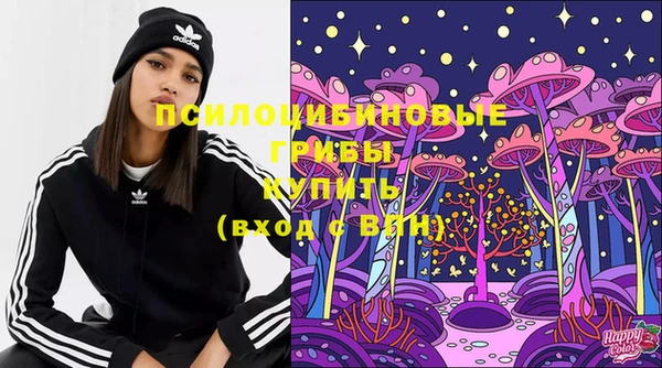 Альфа ПВП Богородск